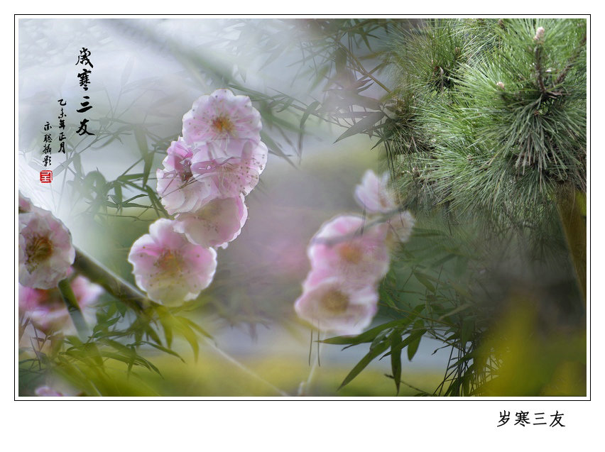 岁寒三友.jpg