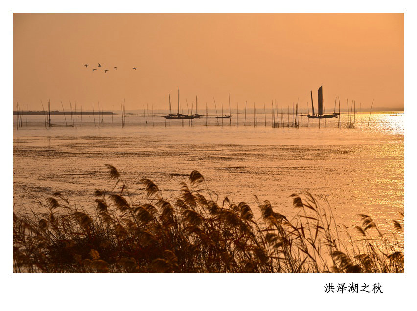 洪泽湖帆影.jpg