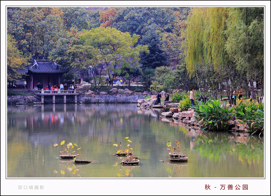 05.万善园秋拍 035_副本_副本_副本_副本.jpg