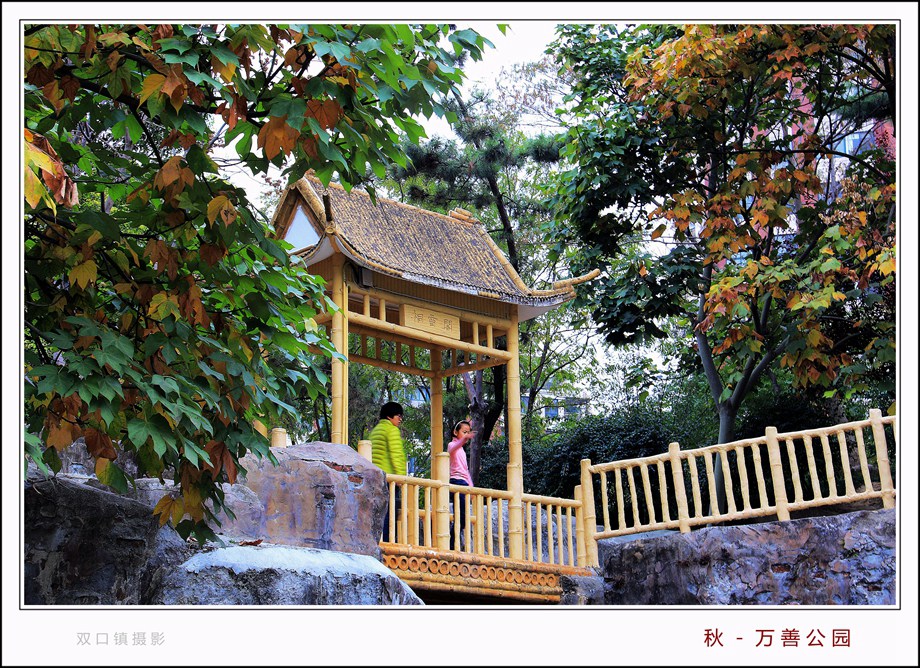 06.万善园秋拍 076_副本_副本_副本_副本.jpg