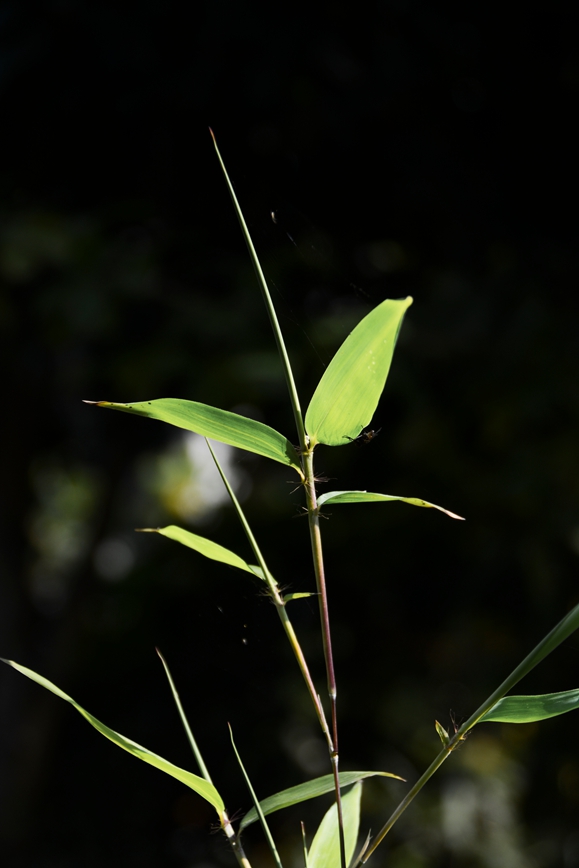 DSC_8281.JPG