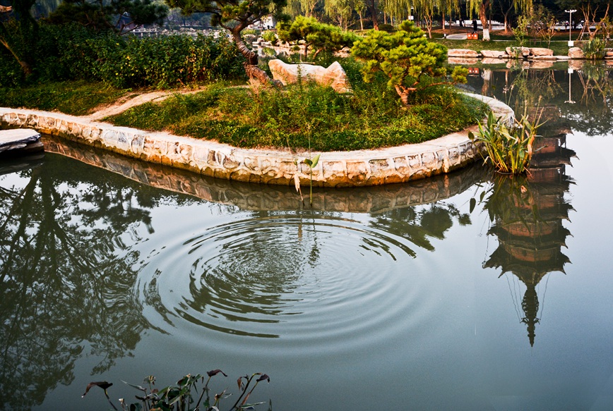 DSC_7959.JPG