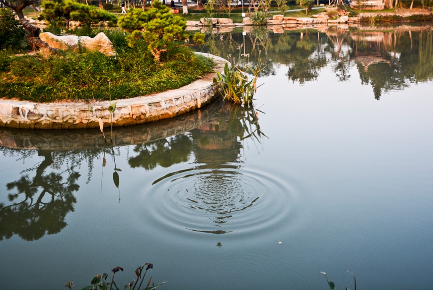 DSC_7960.JPG