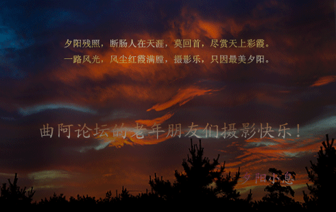 夕阳.gif