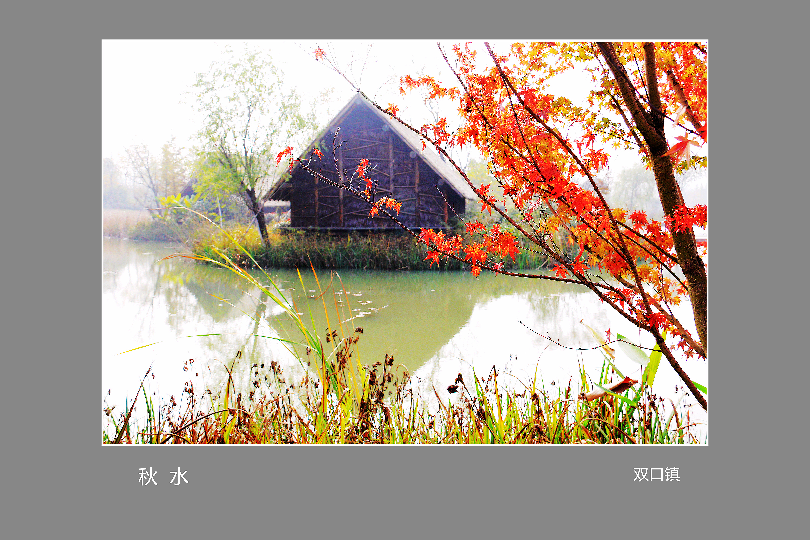 01.秋-湿地公园 016_副本_副本.jpg