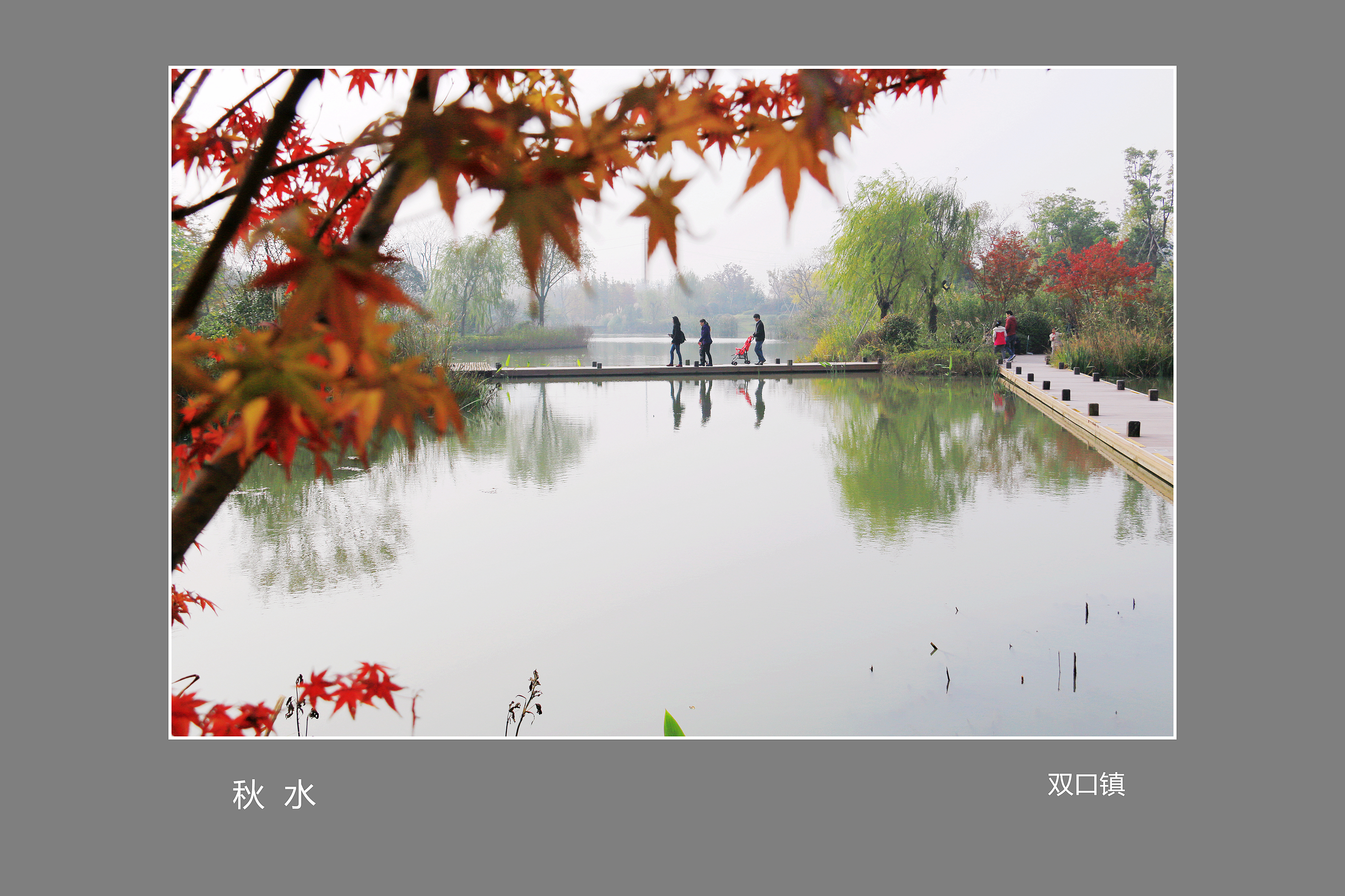 02.秋-湿地公园 018_副本.jpg