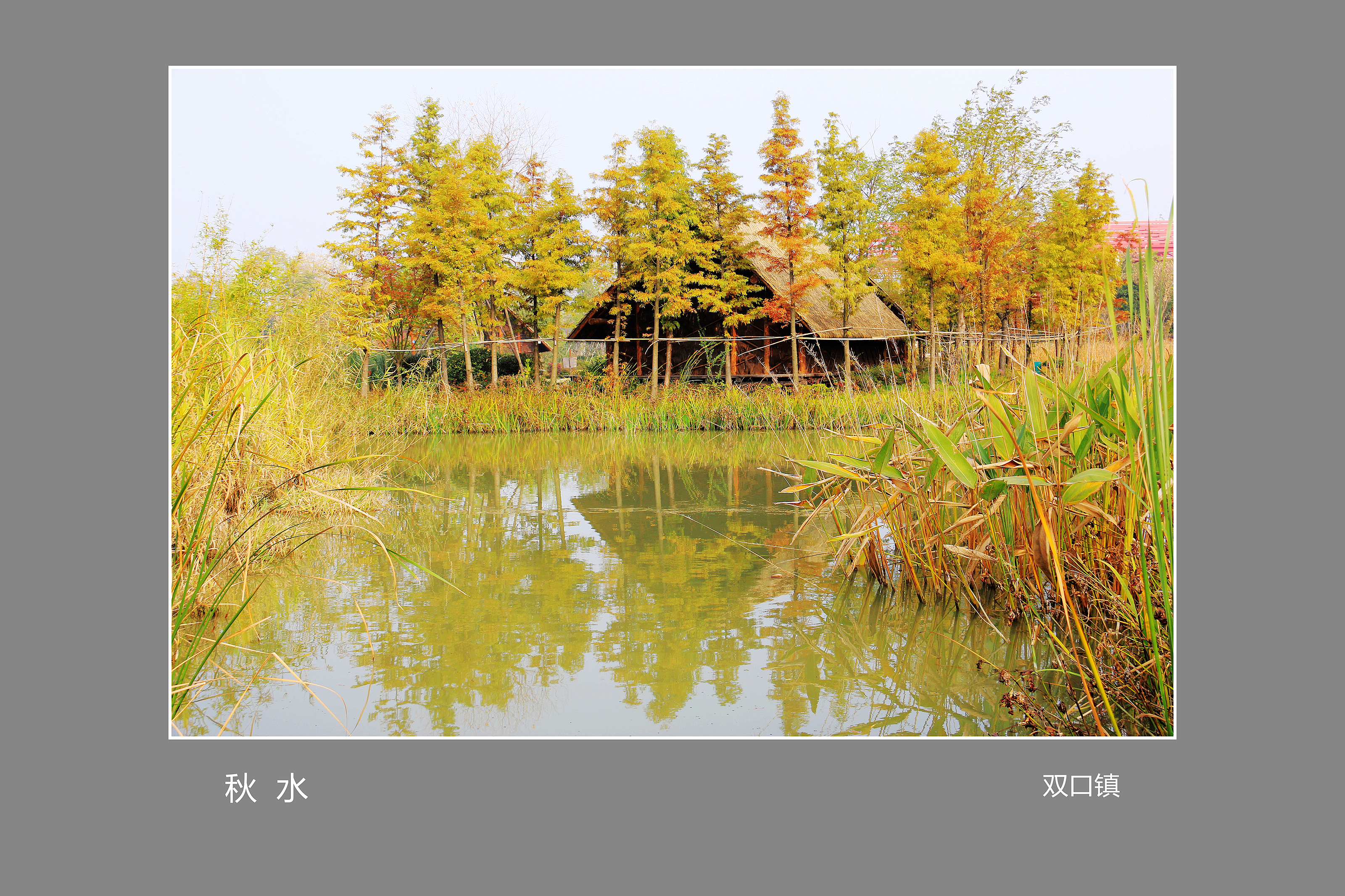 04.秋-湿地公园 032_副本_副本.jpg