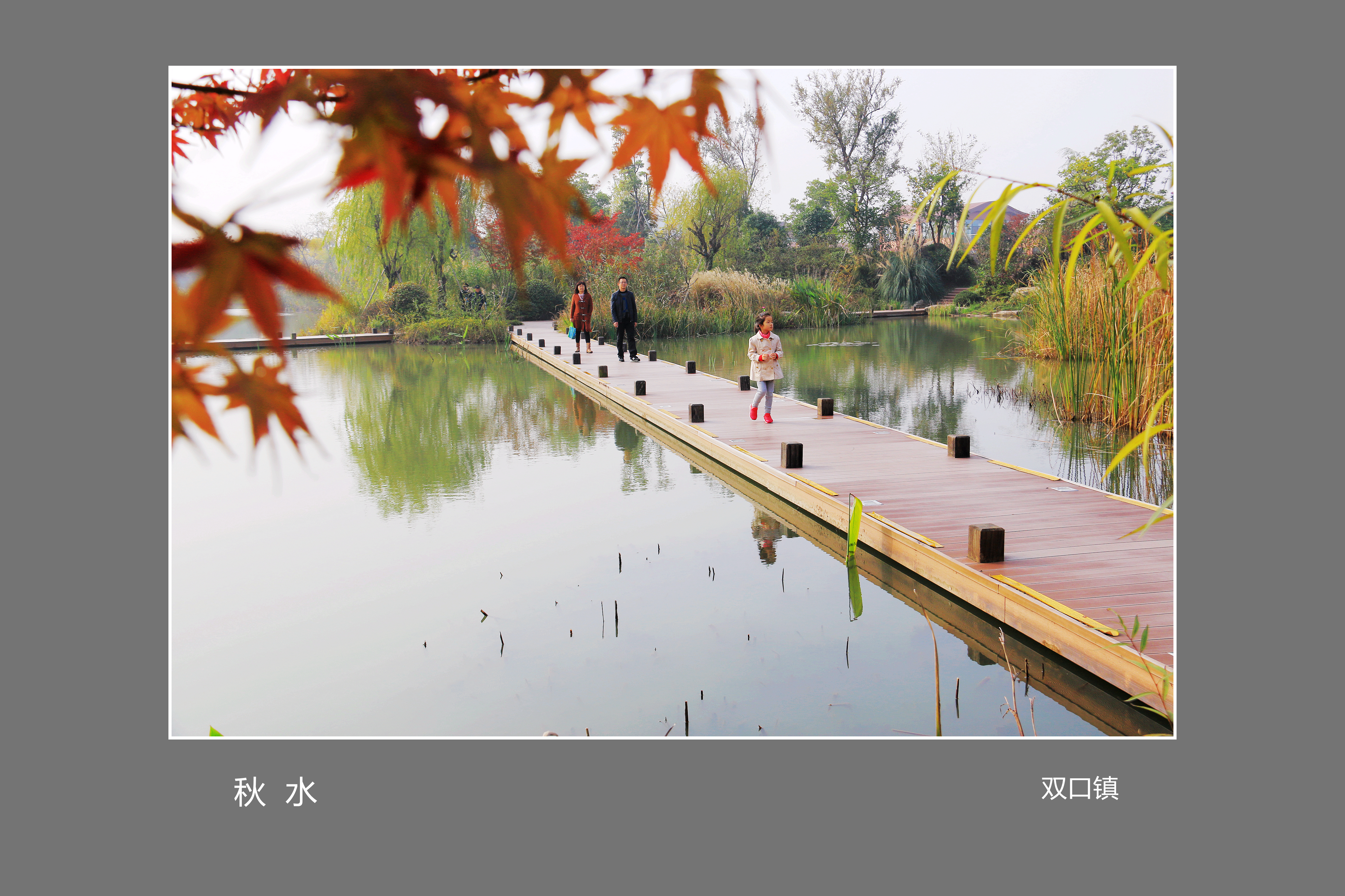 03.秋-湿地公园 021_副本_副本_副本.jpg