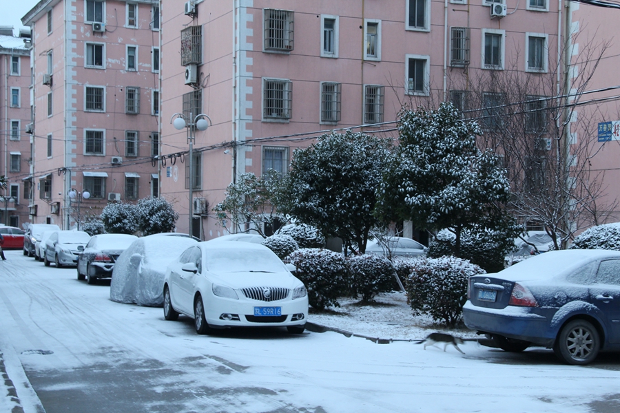 1----雪后小区一角.JPG