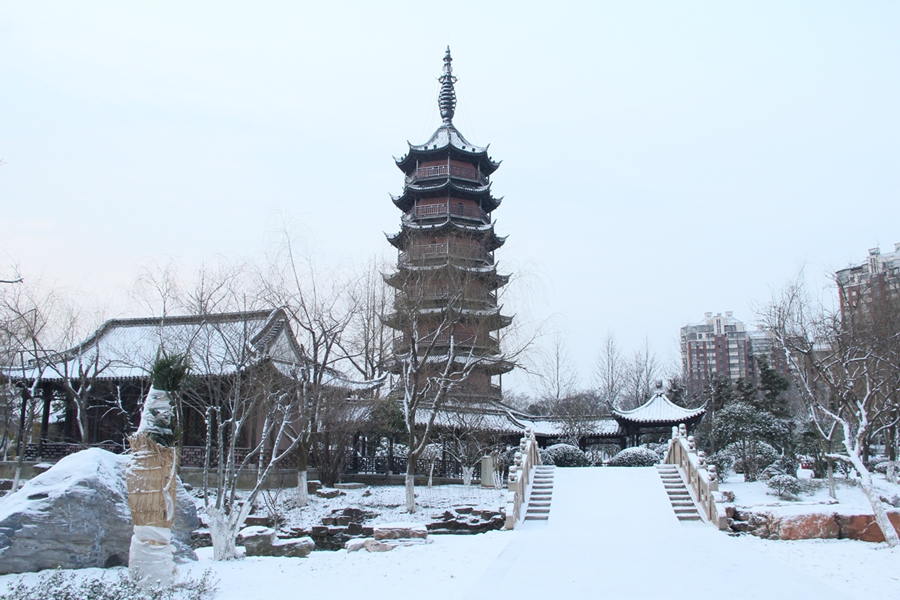 5---公园雪景--2.JPG