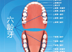 六龄.jpg