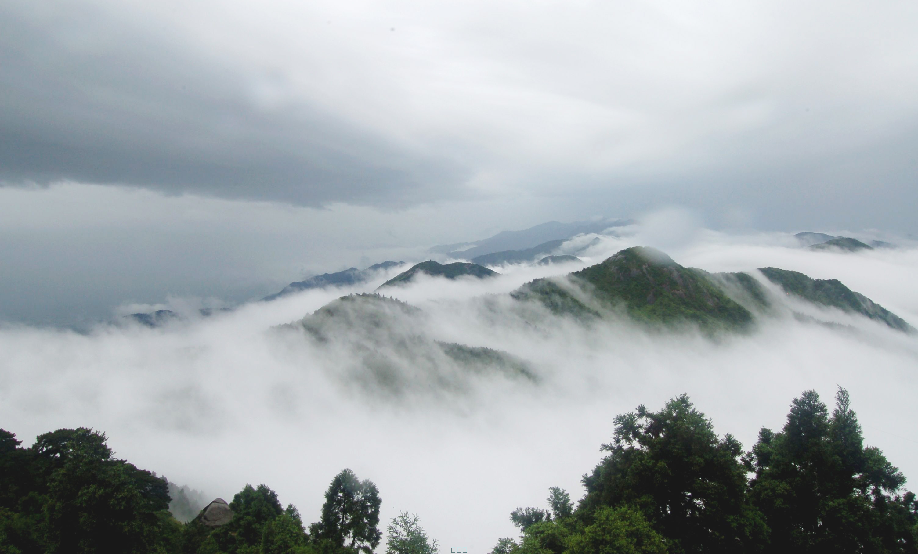 丹阳中旅南岳衡山.jpg