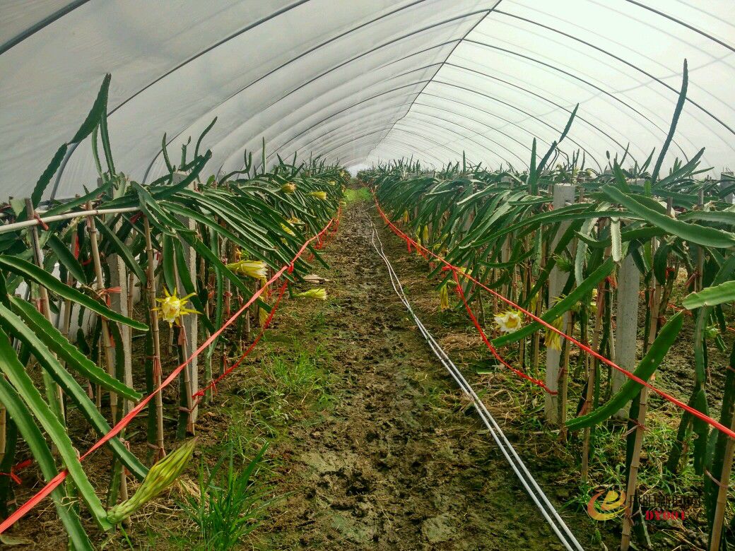 新建文件夹IMG_20160920_100215_HDR.jpg