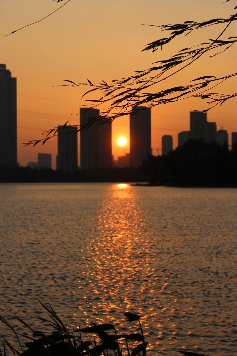 沙湖落日