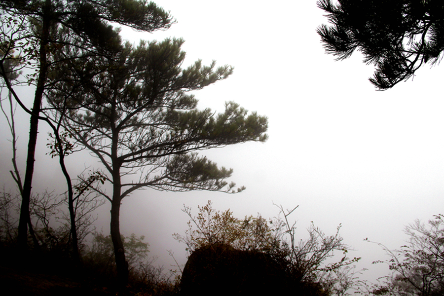 14----雨中蒙山.JPG