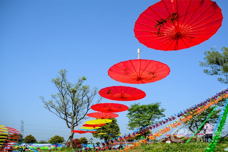 横塘油纸伞风车节13.jpg