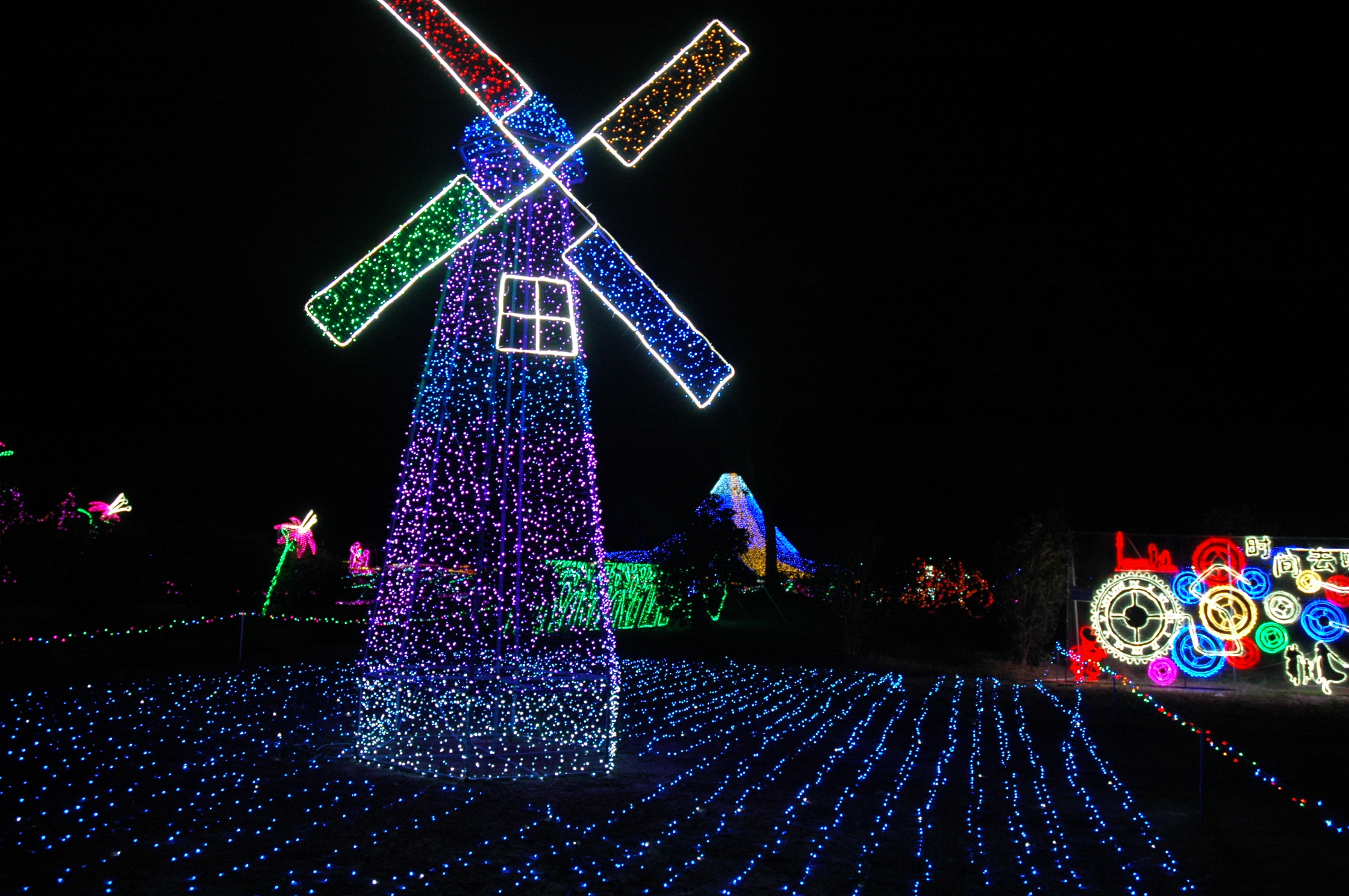 DSC_0444.JPG