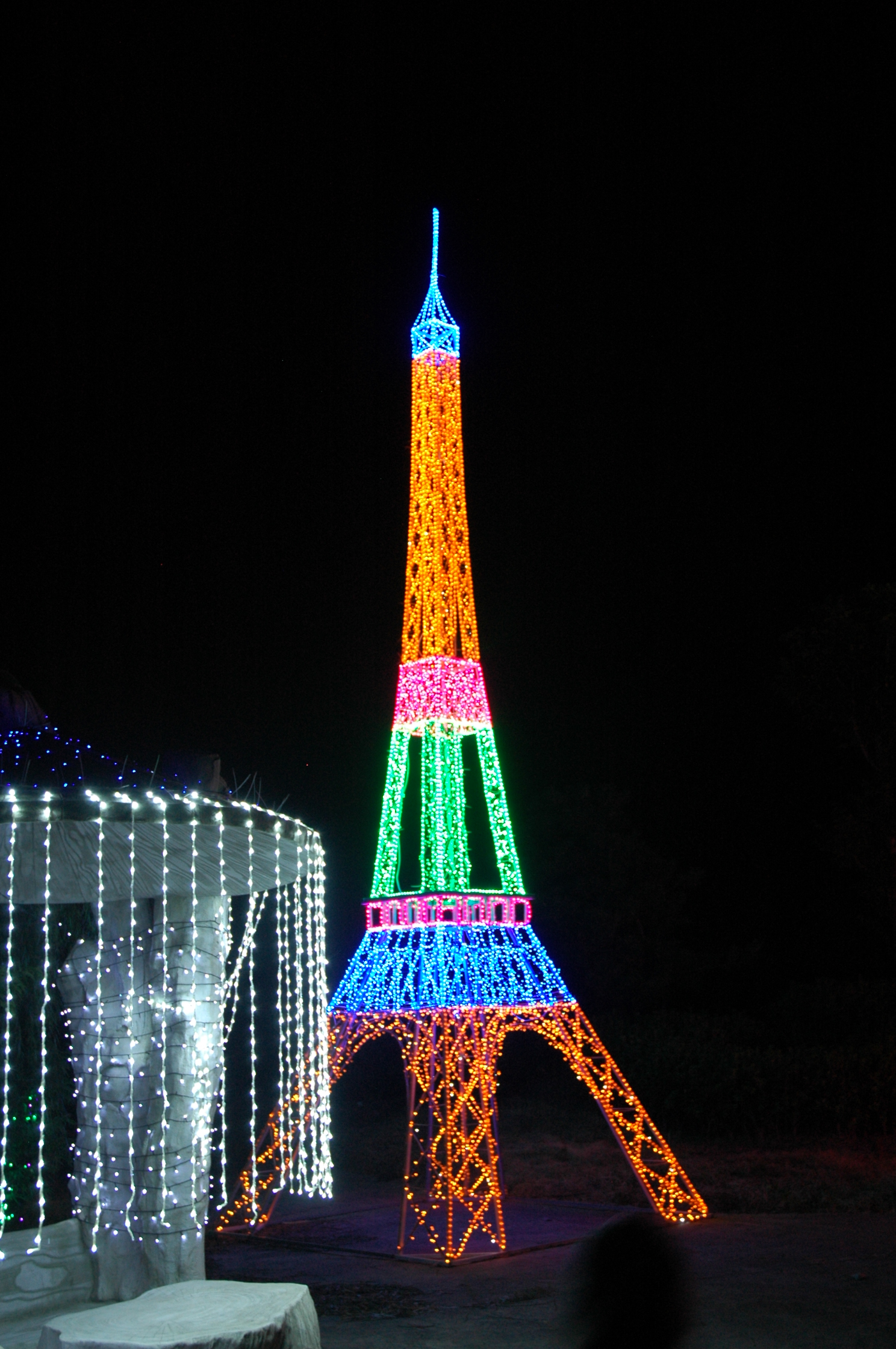 DSC_0509.JPG