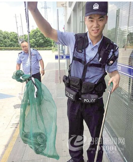 QQ截图20170803103722.png