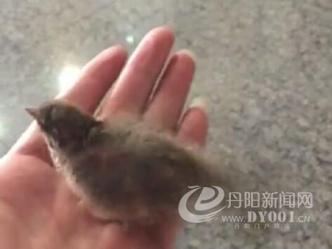 QQ截图20170831100053.jpg