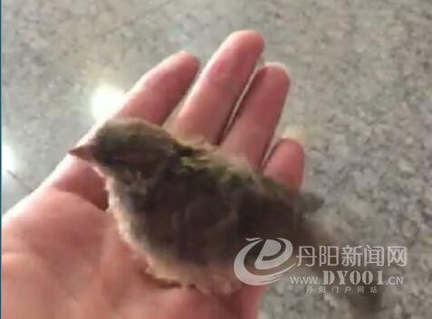 QQ截图20170831100028.jpg