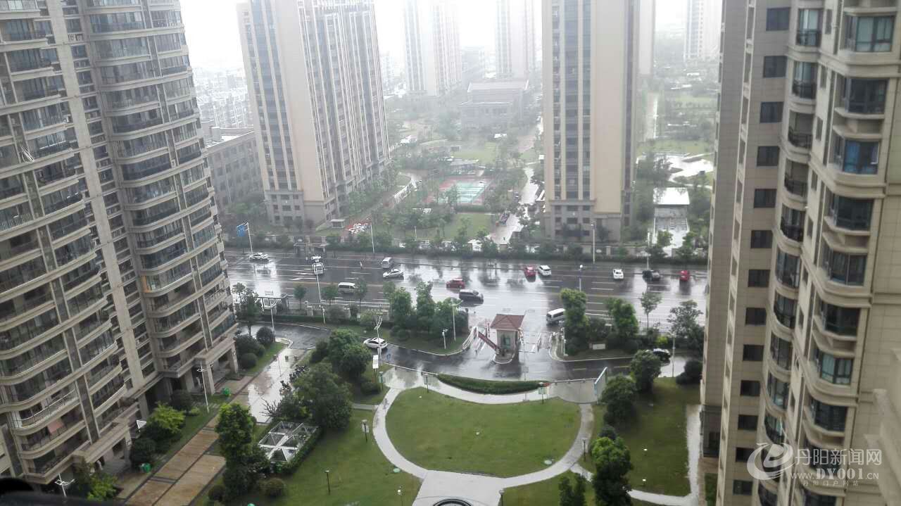 mmexport1505098896691.jpg