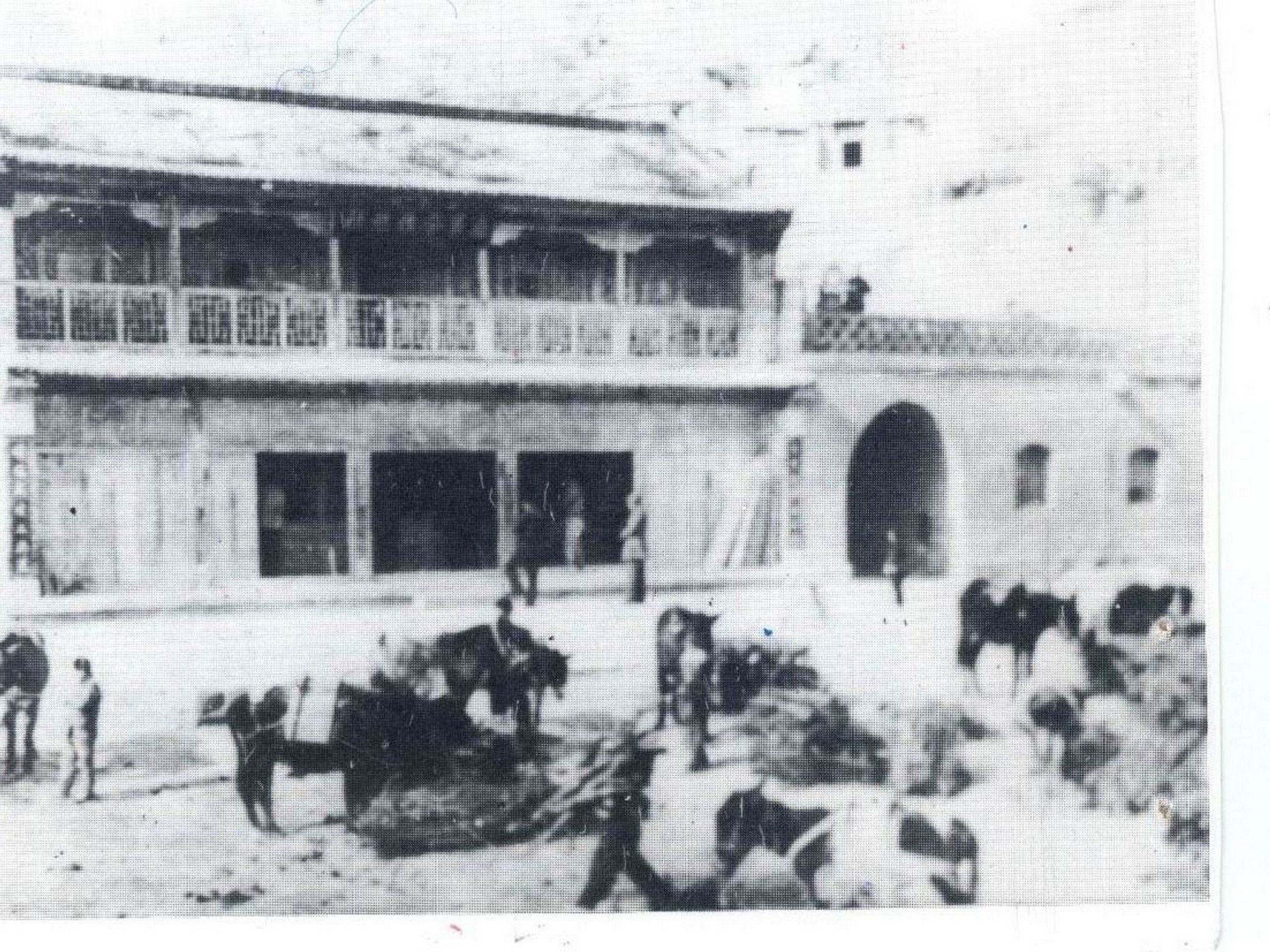 老照片195.JPG