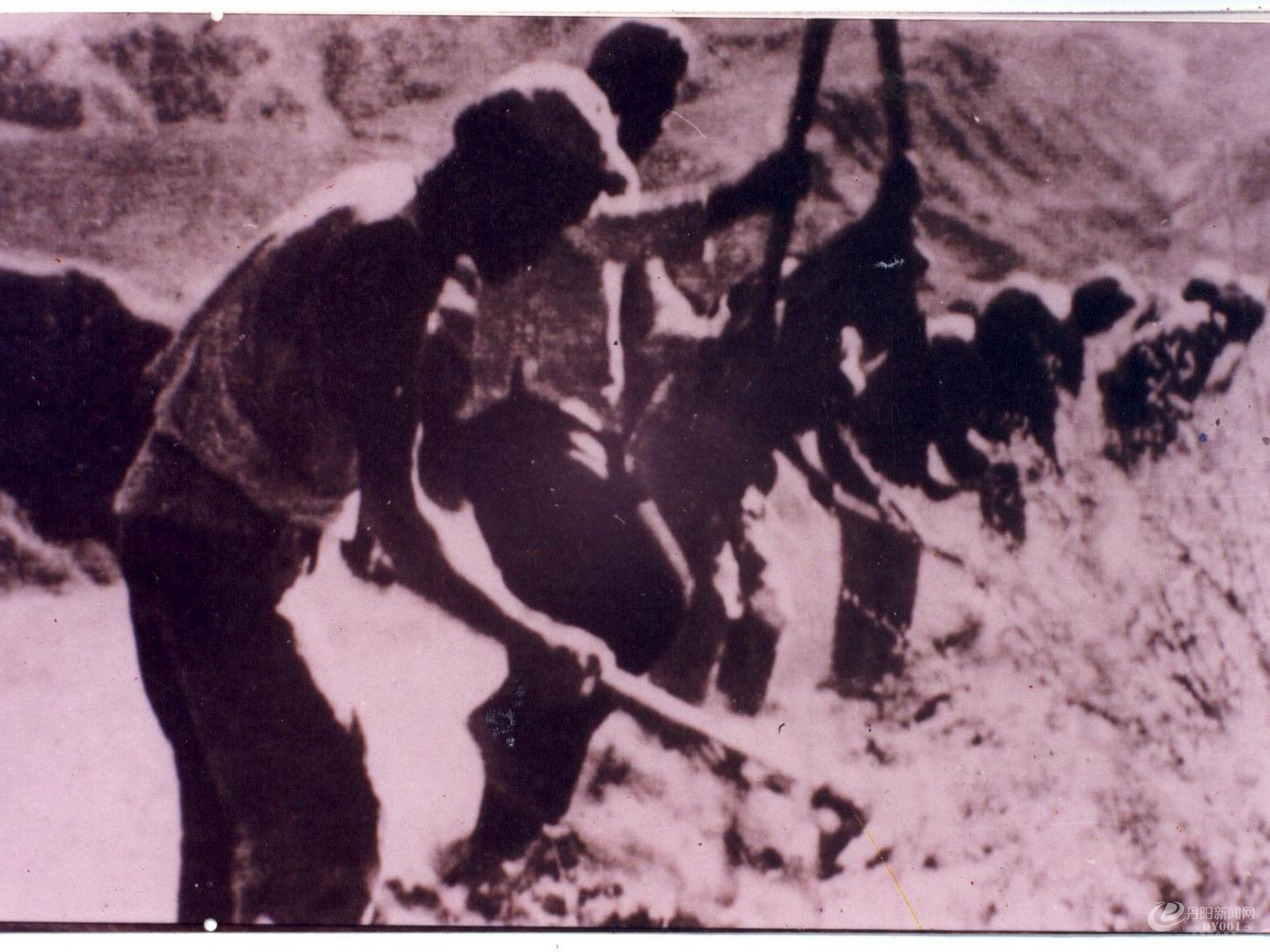 老照片196.JPG