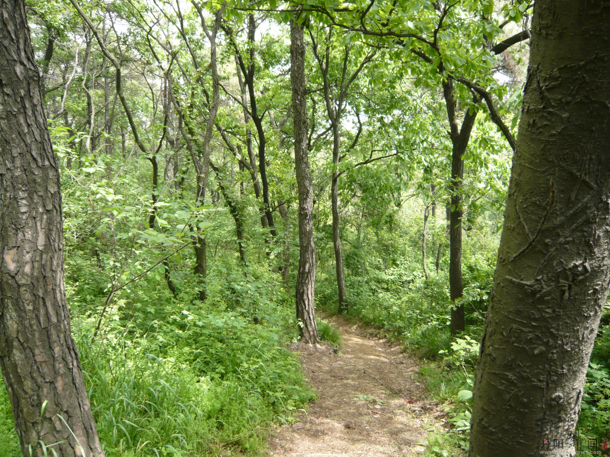 P1030369.JPG