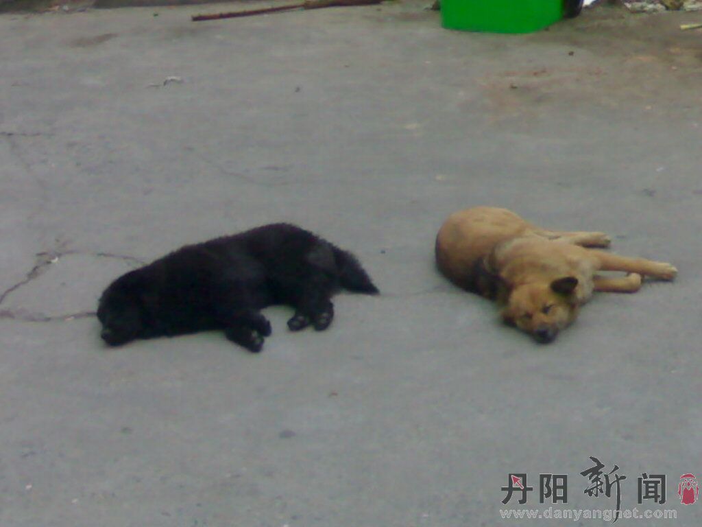 20100515030.jpg