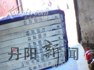 1608607gbPm8g_b.jpg