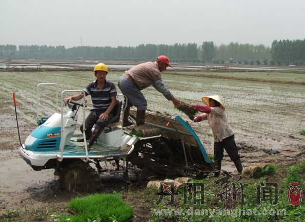 DSCF6520.jpg