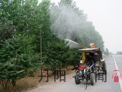 DSCF9514.jpg