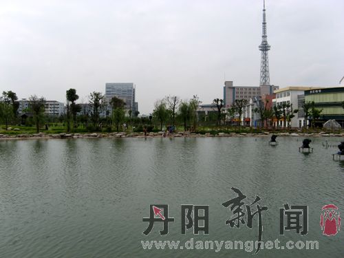 IMG_9501.jpg