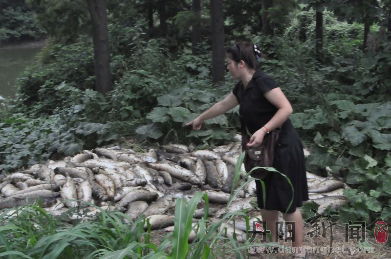 这人看着死鱼辛酸