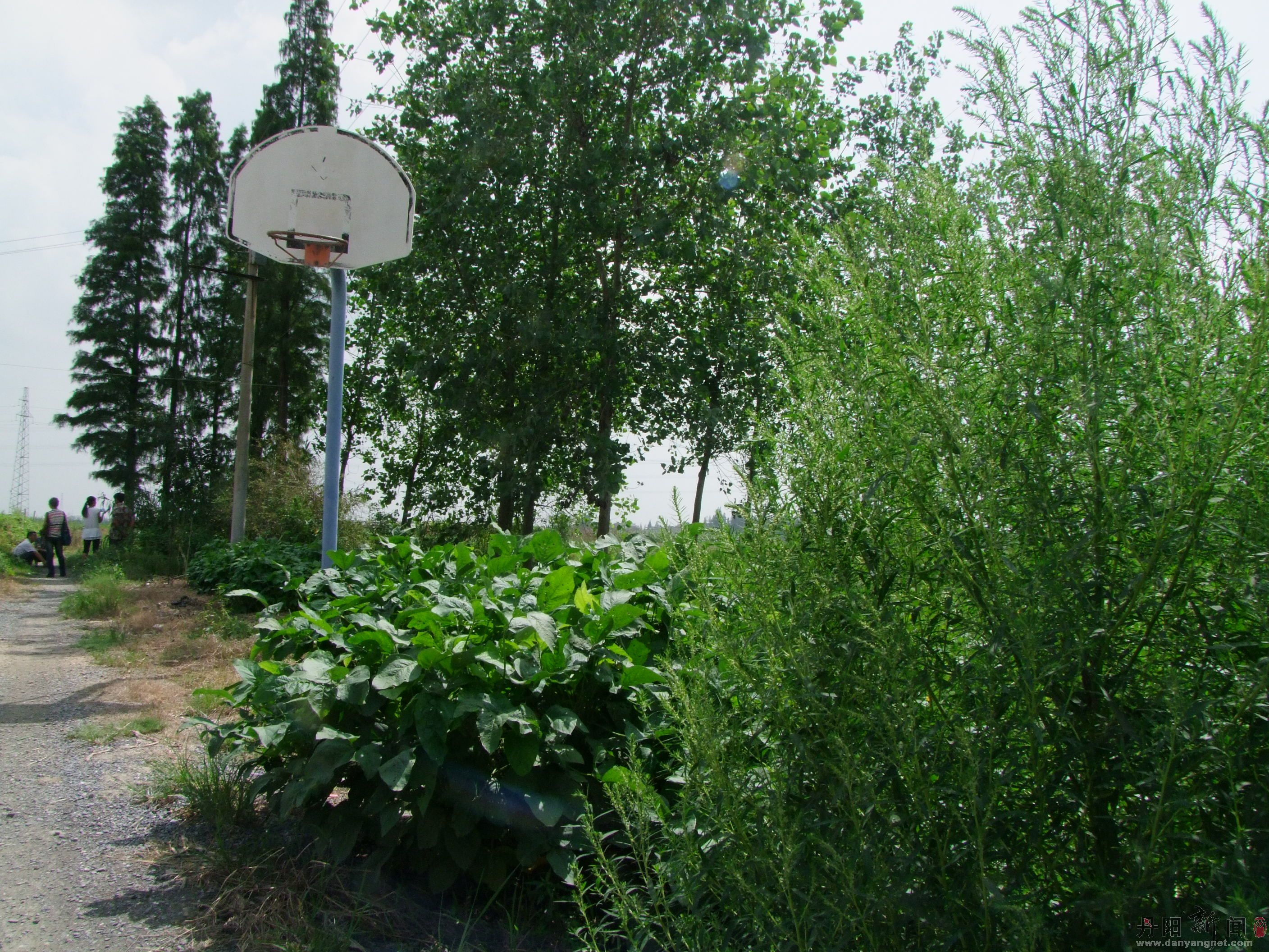 DSCF9447.jpg