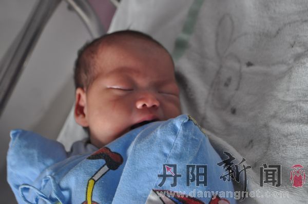 可爱的杨宝