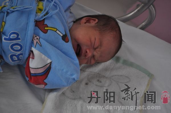 哭的杨宝