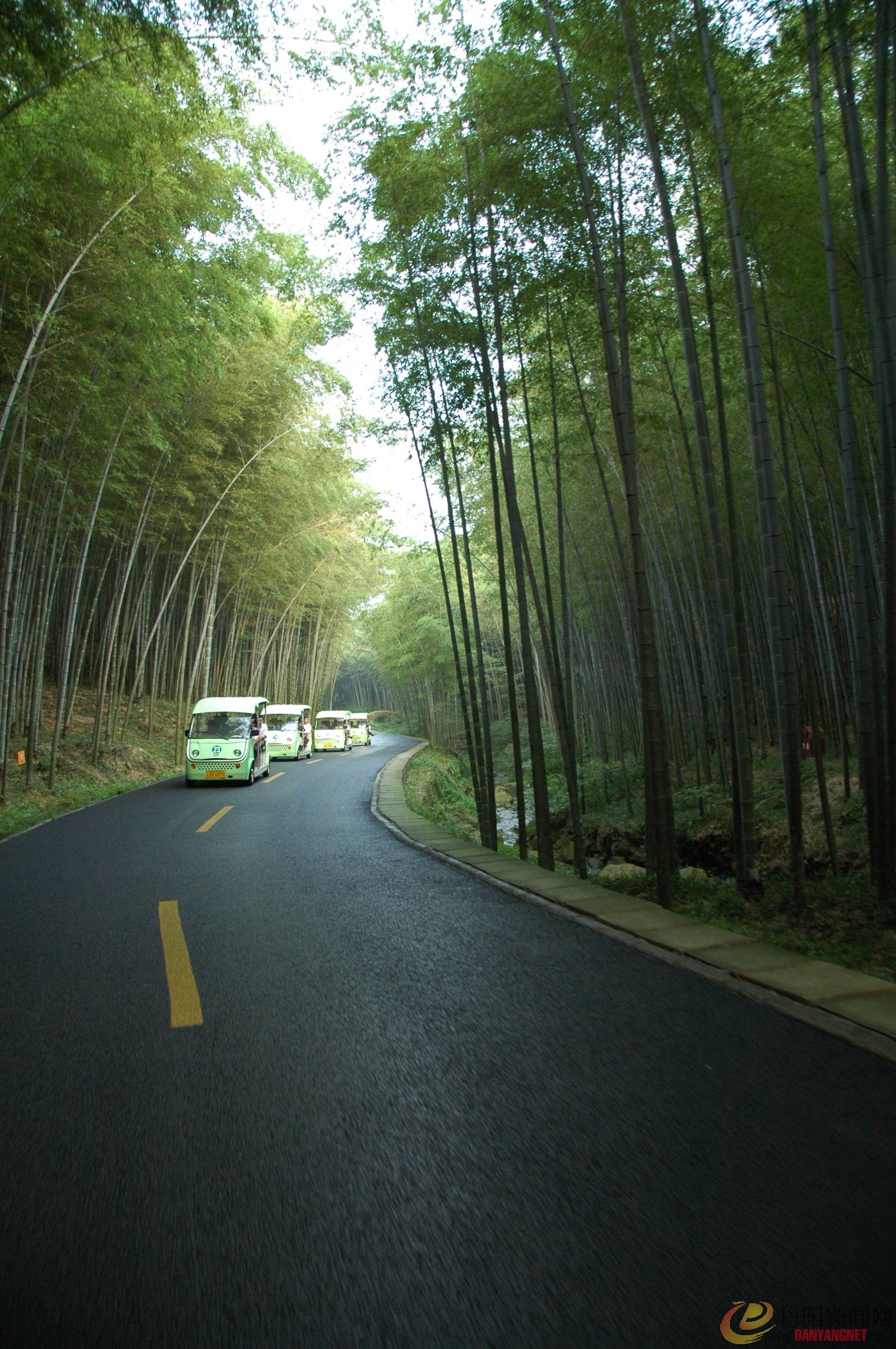 宜兴竹海风景区.JPG