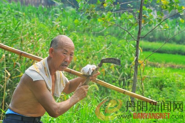 nEO_IMG_DSC_2723.jpg