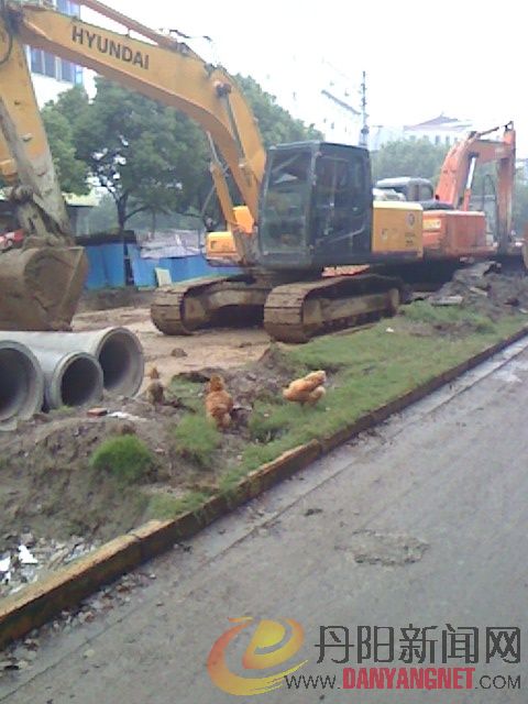 IMG1002170900.jpg
