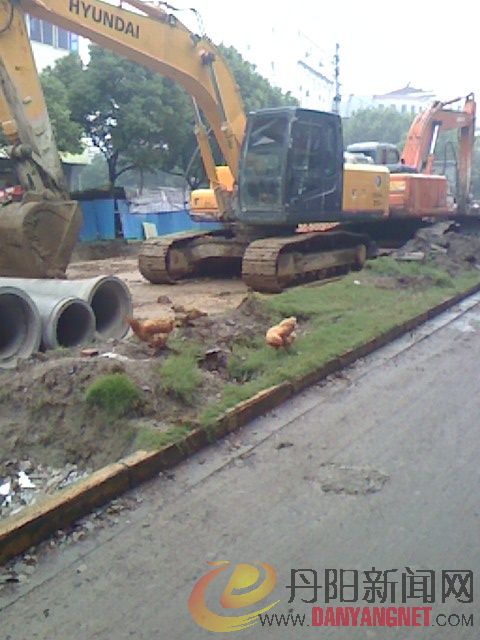 IMG1002171000.jpg