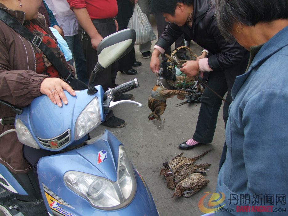 DSCF5619.jpg