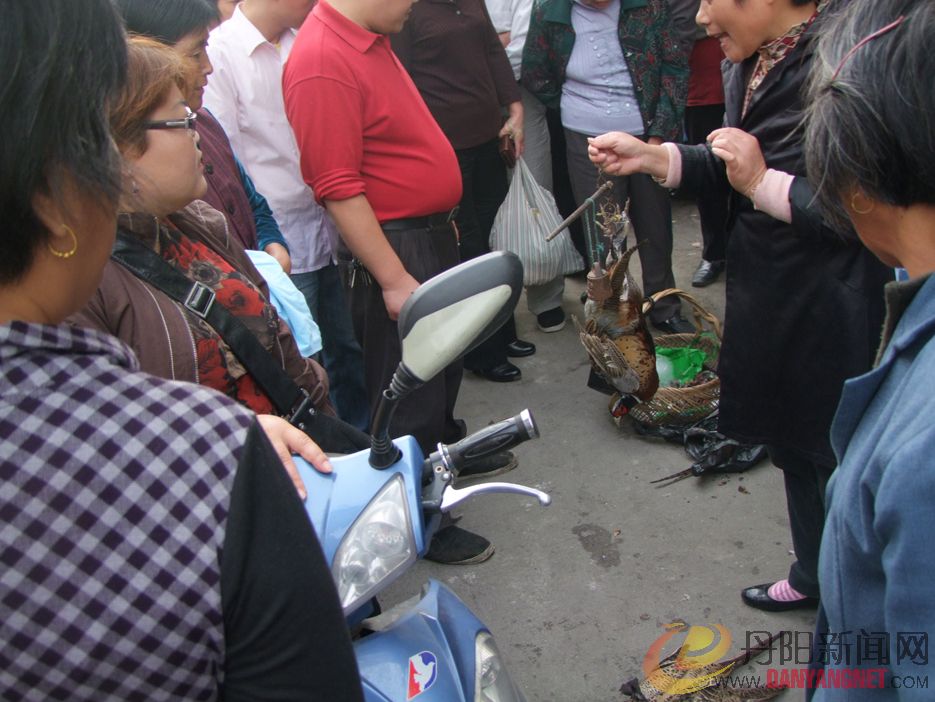 DSCF5625.jpg