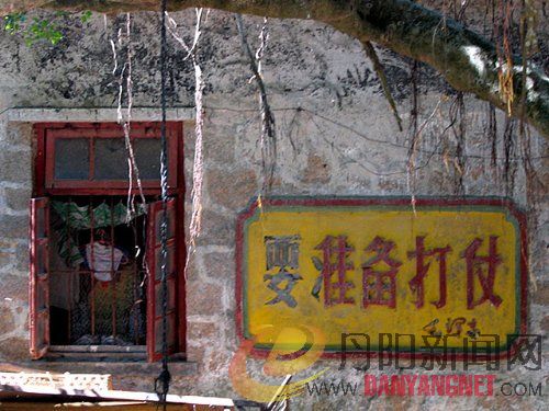 真的假的