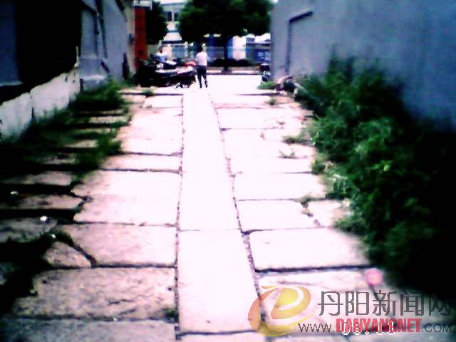 PIC_3015.jpg
