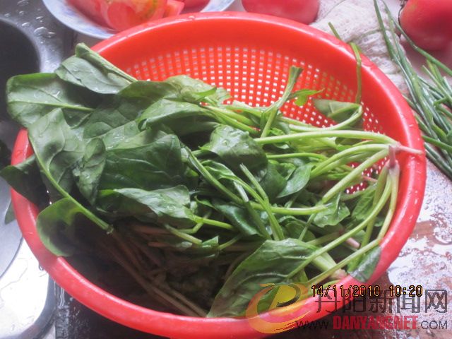照片 006.jpg
