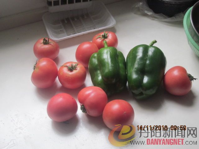 照片 005.jpg
