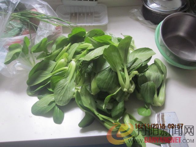 照片 004.jpg