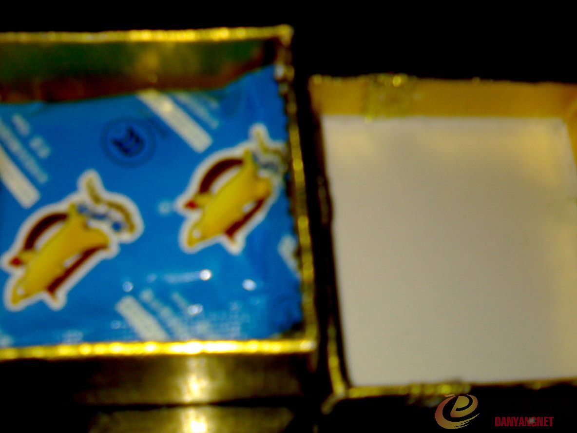 20101225066.jpg